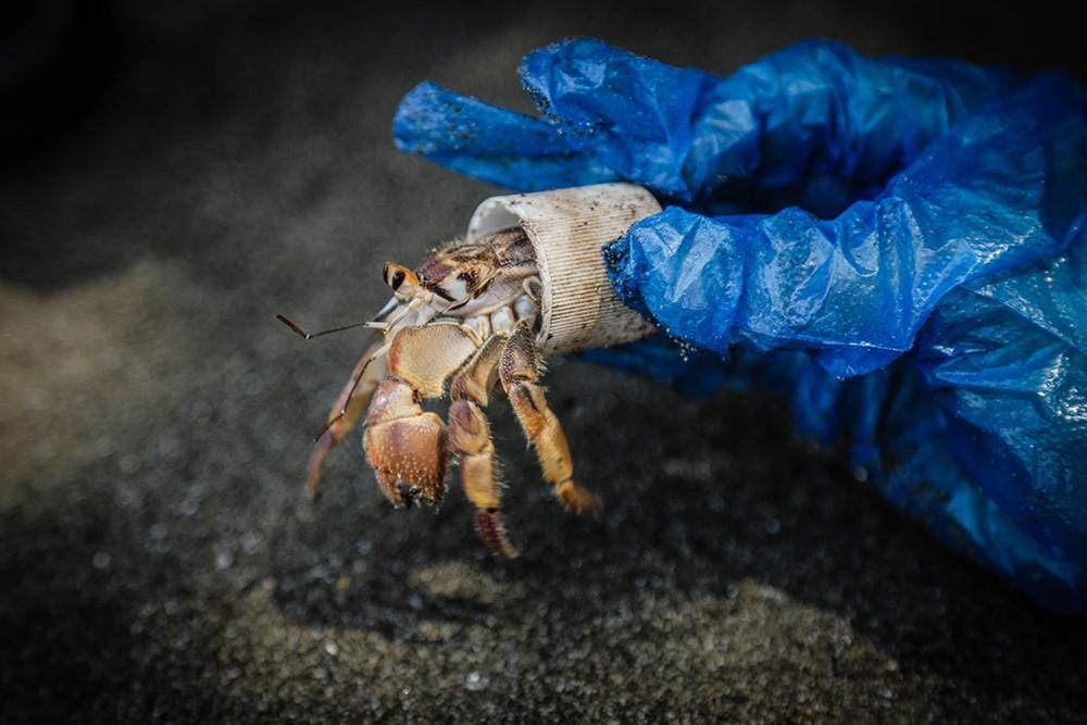 Guest Blogger - Bodhi Surf School